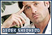 Derek Shepherd (Grey's Anatomy)