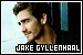 Gyllenhaal, Jake